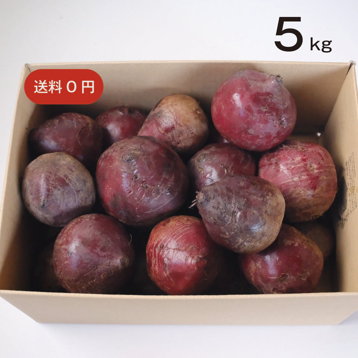 農薬不使用 生ビーツ 5kg|業務用にも | bette – BETTE