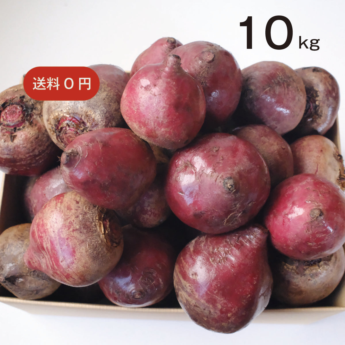 農薬不使用 生ビーツ 10kg 大容量|業務用 | bette – BETTE