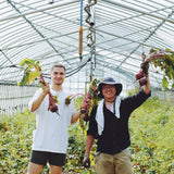 兵庫・京都で農薬不使用栽培されたビーツを使用した水煮タイプ。真空加熱で加熱臭を抑え、ビーツ本来の色・甘み・栄養をそのままキープ。保存料や香料など一切不使用の無添加食品で、健康に気を遣う方やナチュラル志向の家庭に安心しておすすめできる。