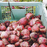 農薬不使用・国産の生ビーツ。兵庫・京都の契約農家で丁寧に育てられた旬の野菜で、皮つきのまま撮影されたその姿は、ビーツ本来の色・形・土の香りが伝わる鮮やかで力強い印象。鉄分・葉酸・ベタシアニン（ポリフェノール）など栄養価が高く、「食べる輸血」とも呼ばれるスーパーフード。煮る・焼く・蒸す・ジュースにするなど多彩な使い方ができ、ヘルシー志向・自然食に関心のある方に人気。サステナブルな食材としても注目。